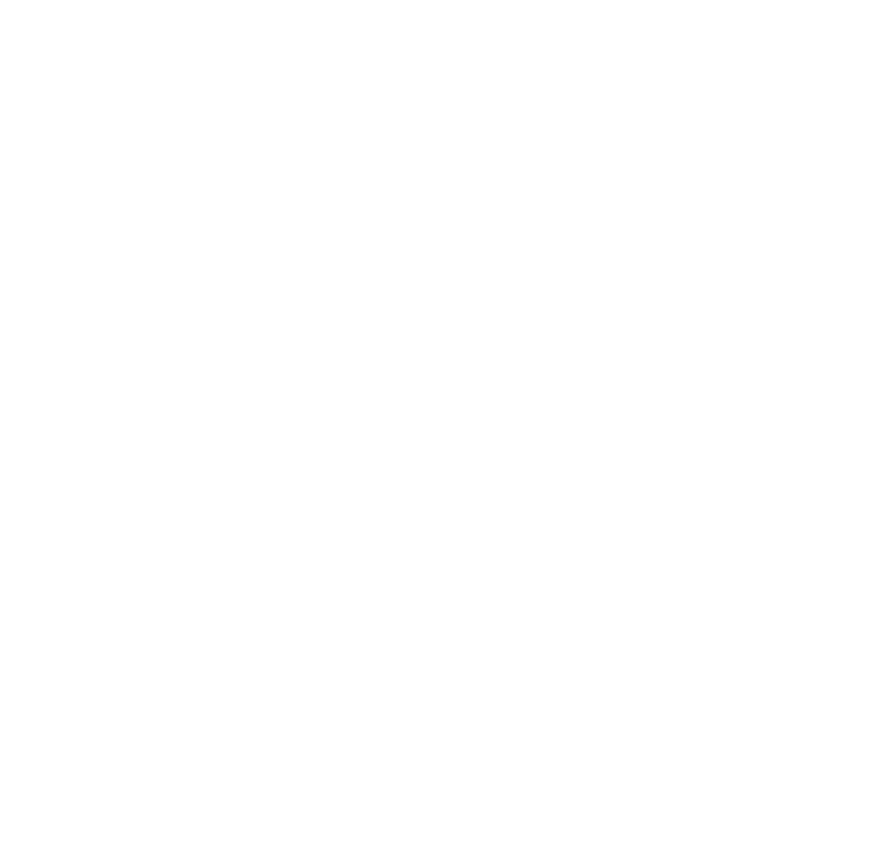 Aerdia