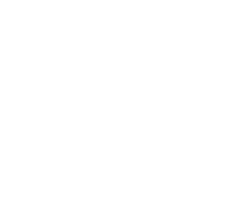 FHEQUENID FOR A SAFER WORLD